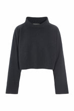 Load image into Gallery viewer, HENRIETTE STEFFENSEN Short Fleece Pullover ( 1372)