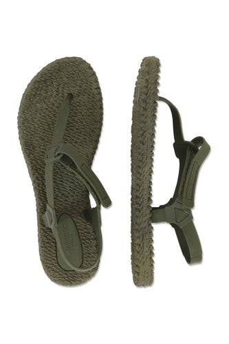 ILSE JACOBSEN Flip Flops (Cheerful14)