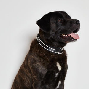 ILSE JACOBSEN Dog Collar (Konrad06)
