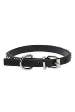 Load image into Gallery viewer, ILSE JACOBSEN Dog Collar (Party Collar)